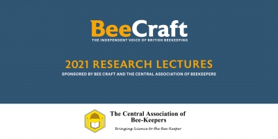 BeeCraft and the Central Association of Bee-Keepers online lecture evening Feb 15, 2021