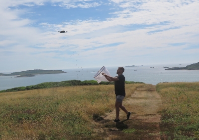 The Scilly game of drones written by Stephen Fleming co-editor, BeeCraft