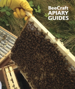 UPDATED & IMPROVED Apiary Guide Multipack Offer