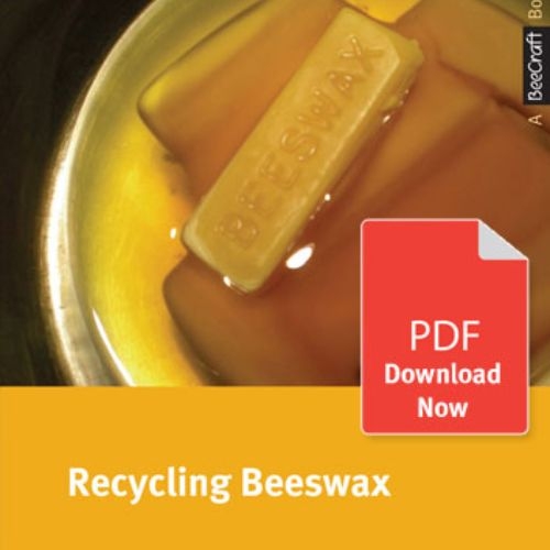 Recycling Beeswax - Bee Craft Digital Download Booklet