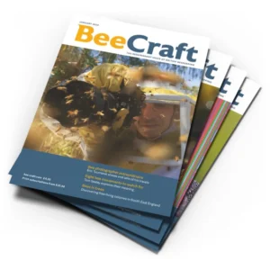 Beginner’s Courses Magazine Pack