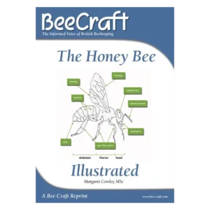 The Honey Bee Illustrated - Digital Download Booklet