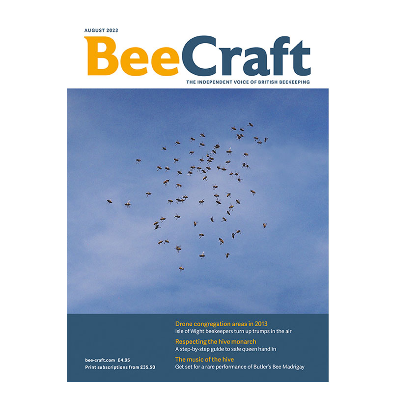 Back Issue – August 2023 Back Issue – August 2023