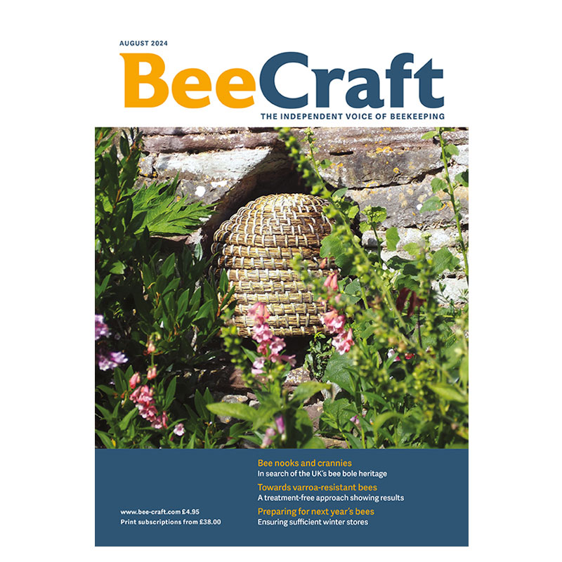 Back Issue – August 2024 Back Issue – August 2024