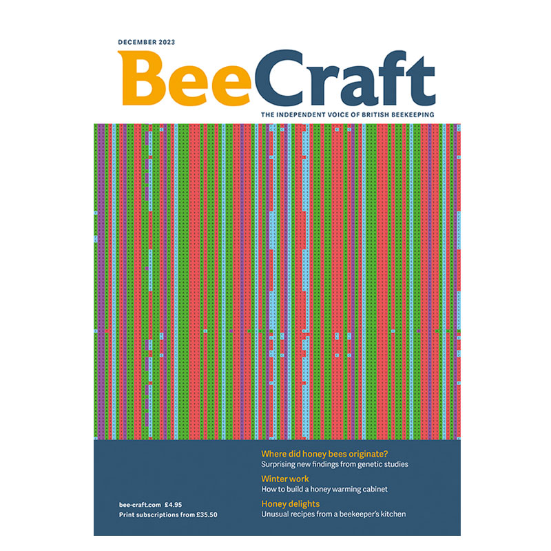 Back Issue – December 2023 Back Issue – December 2023