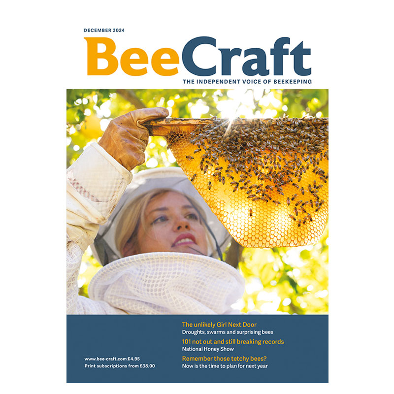 Back Issue – December 2024 Back Issue – December 2024