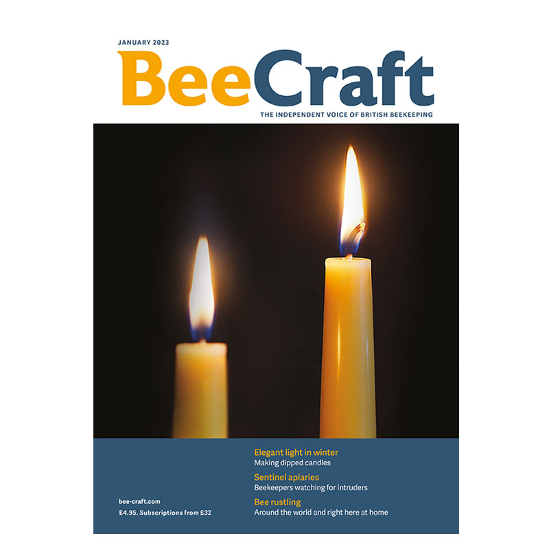 BeeCraft_January_2023