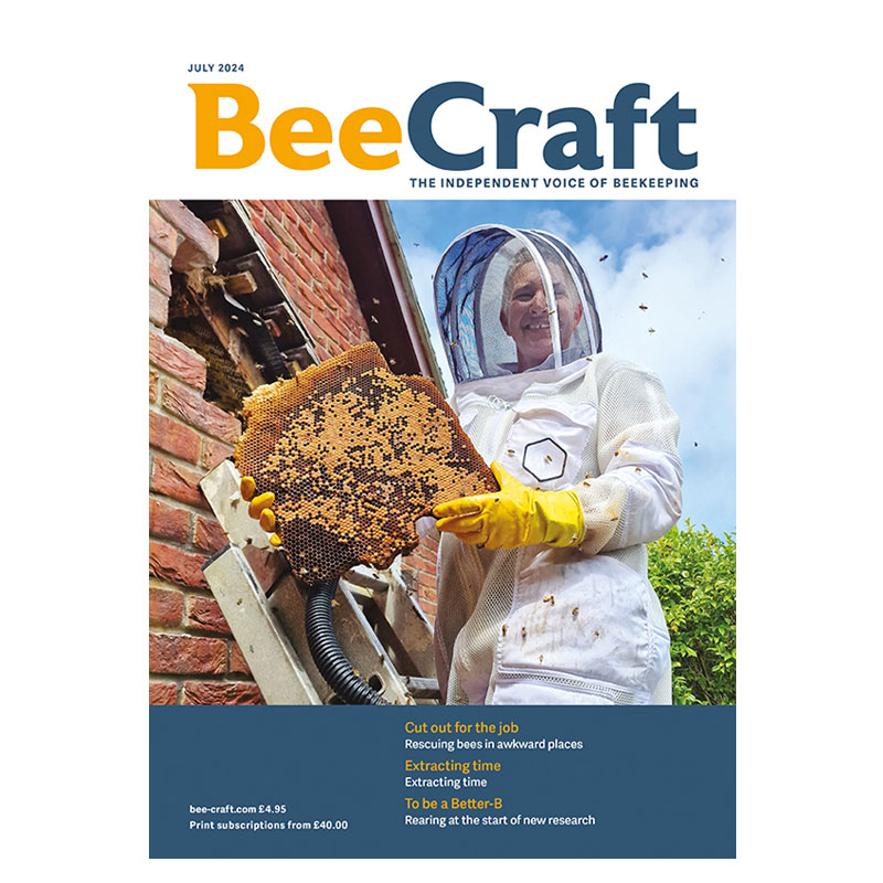 Back Issue – July 2024 Back Issue – July 2024