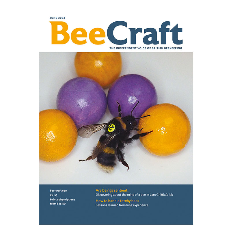 Back Issue – June 2023 Back Issue – June 2023
