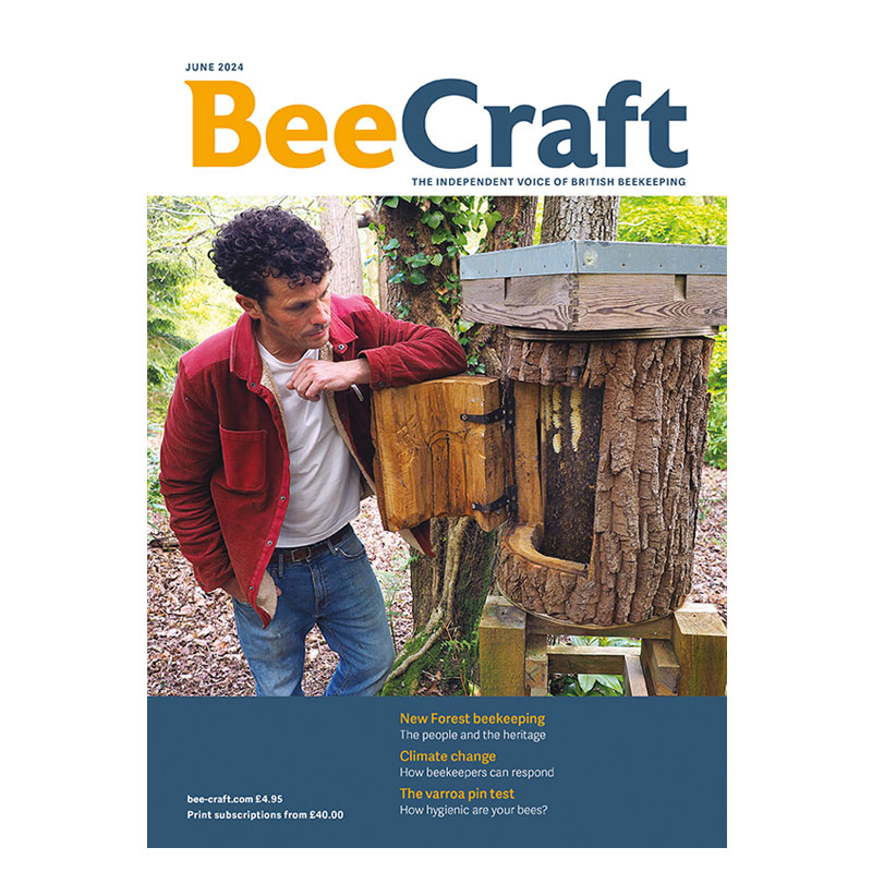 Back Issue – June 2024 Back Issue – June 2024