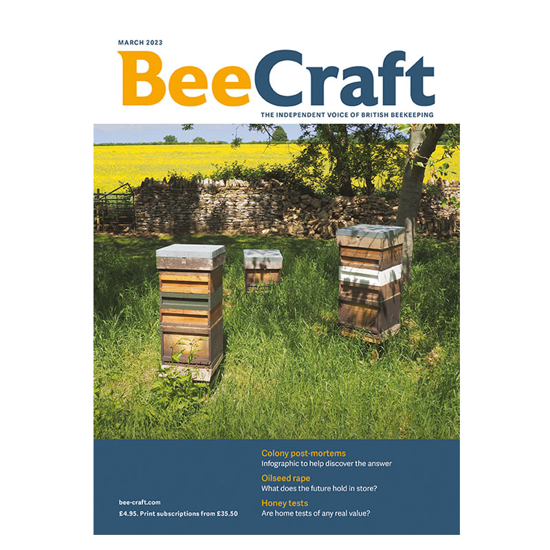 Back Issue – March 2023 Back Issue – March 2023