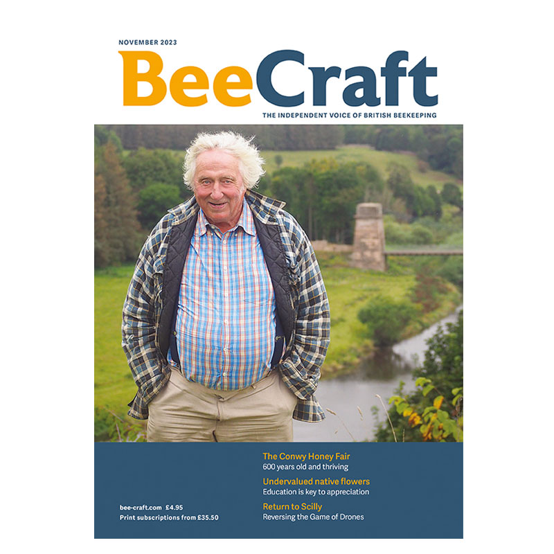 Back Issue – November 2023 Back Issue – November 2023