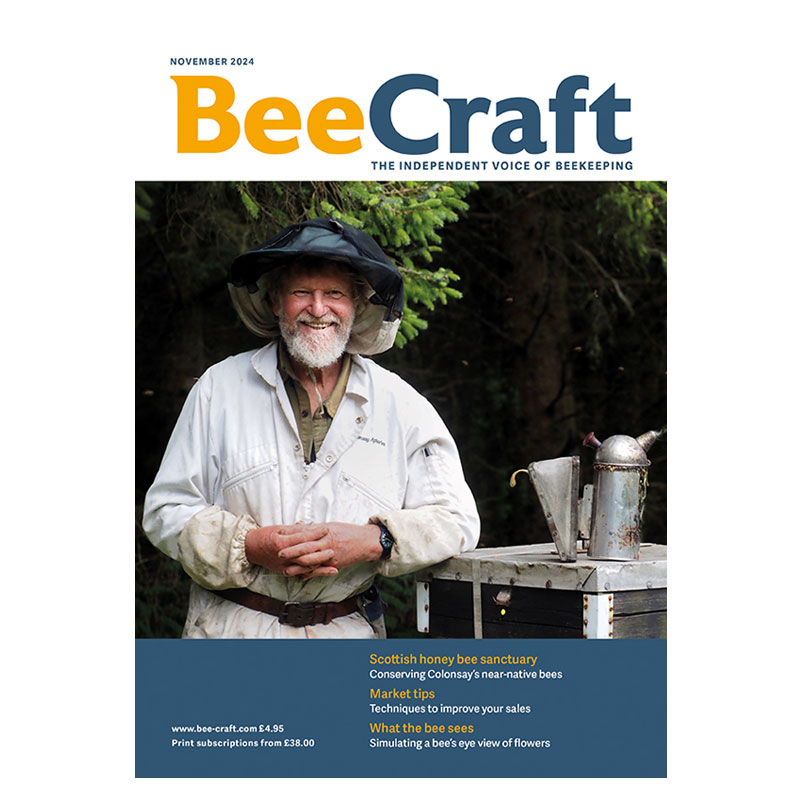 Back Issue – November 2024 Back Issue – November 2024