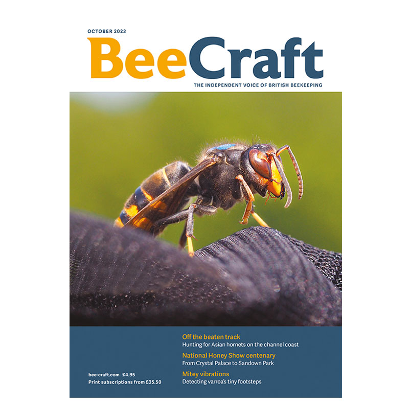 BeeCraft_October_2023