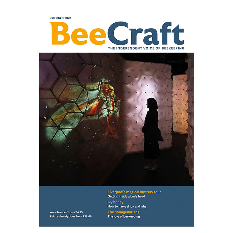 Back Issue – October 2024 Back Issue – October 2024