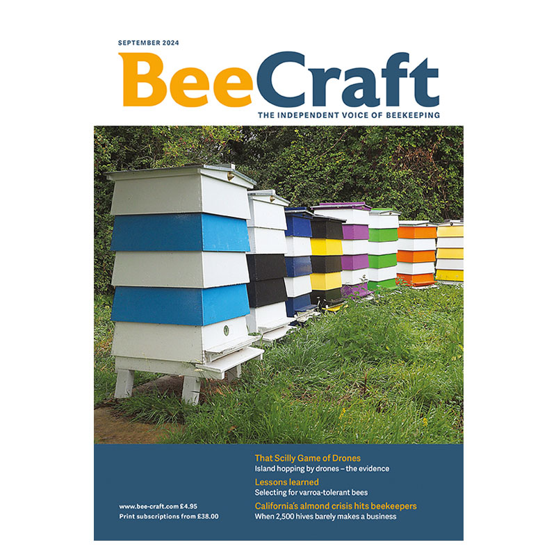 Back Issue – September 2024 Back Issue – September 2024