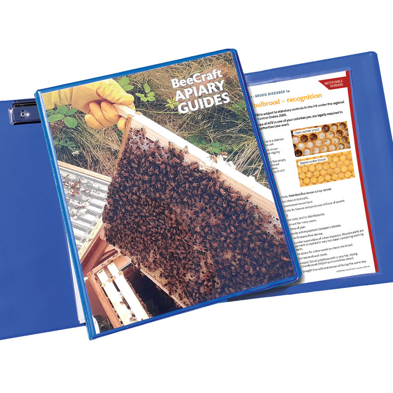 beecraft-guides-apiary-guide-multipack