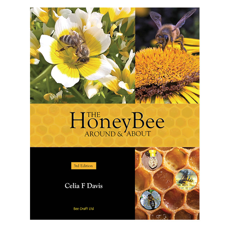 beecraft_honey_bee_around_and_about_davis