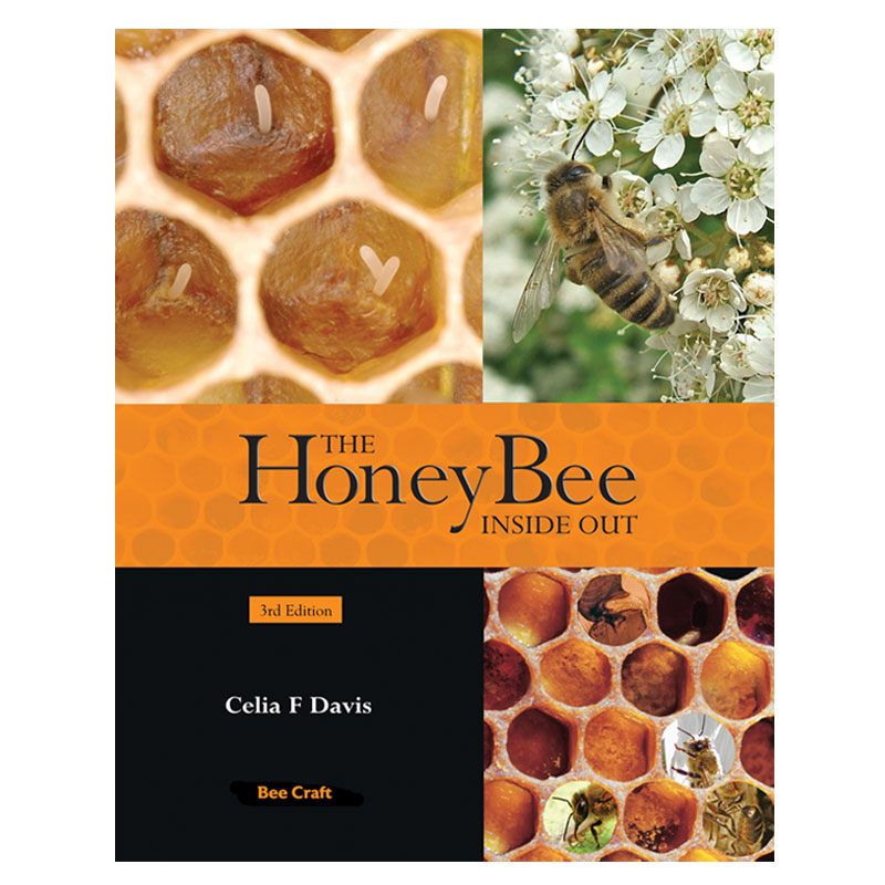 beecraft_honey_bee_inside_out_davis