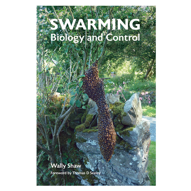 beecraft_swarmIng_shaw