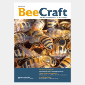 Back Issue - March 2025
