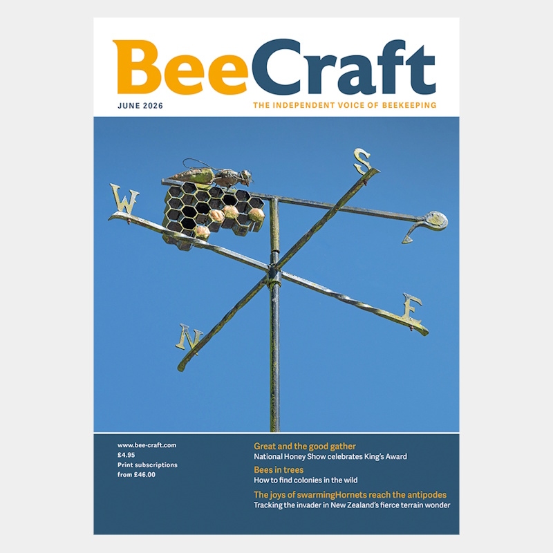 Back Issue – June 2026