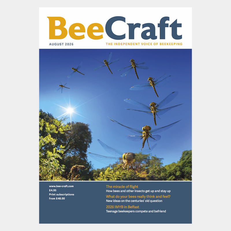 Back Issue – August 2026