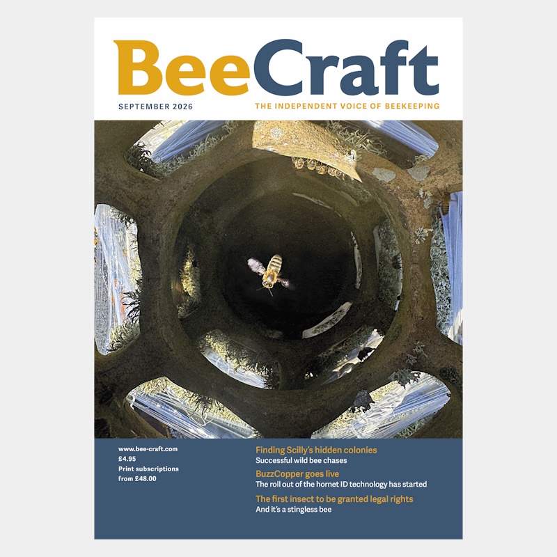 Back Issue – September 2026