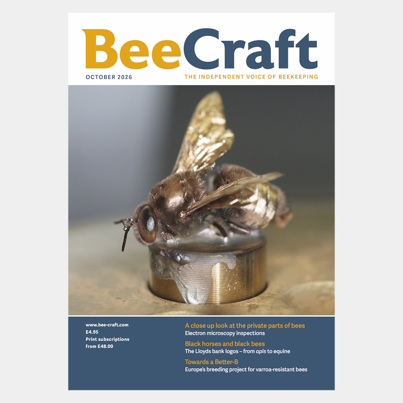 Back Issue – October 2026